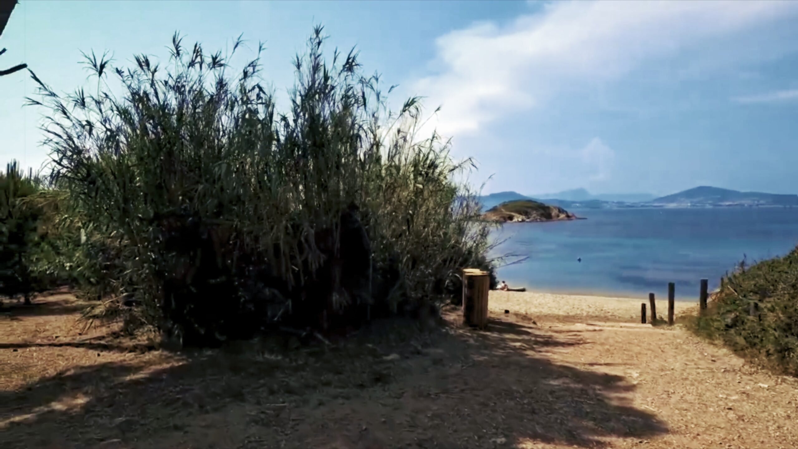 Accès à une plage bordée de végétation, face à la mer